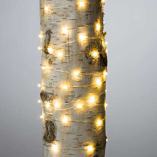 60 ct. led string lights